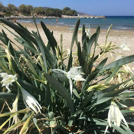 Fissi Agritourism Near The Sea Dom wakacyjny