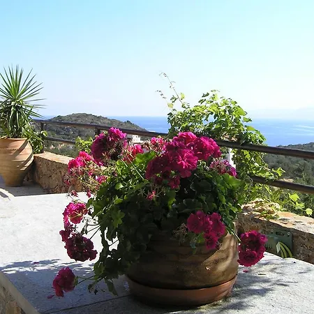 Fissi Agritourism Near The Sea Hébergement de vacances Agios Nikolaos